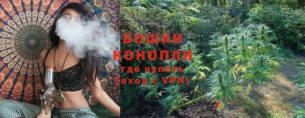 прущая мука Богданович
