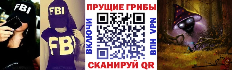 Псилоцибиновые грибы Psilocybine cubensis  Кубинка 
